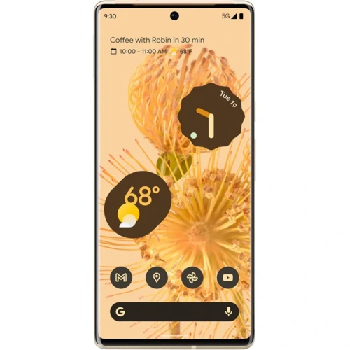 Google Pixel 6 Pro